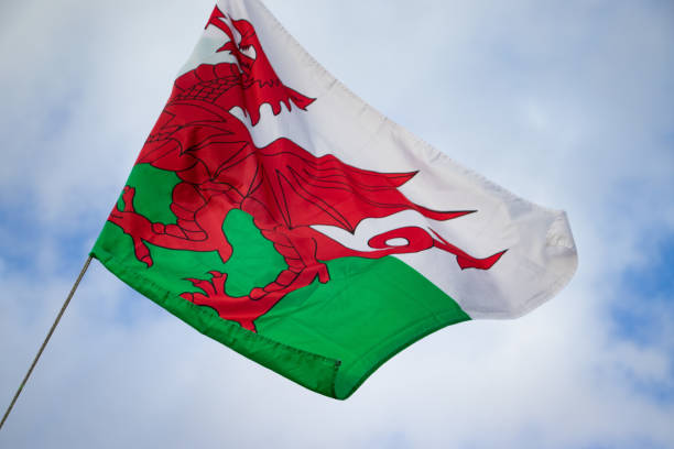 bandeira acenando de gales - welsh flag welsh culture flag green - fotografias e filmes do acervo