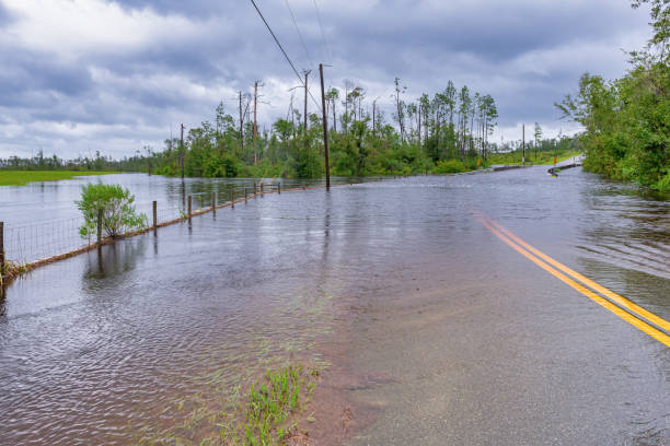 el huracán sally inundó ed lee road en el área de bear creek. - flood hurricane road damaged fotografías e imágenes de stock