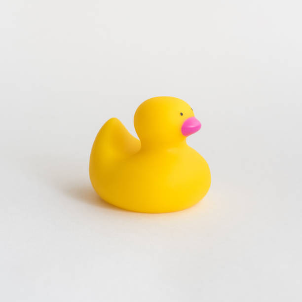 anatra di gomma gialla giocattolo isolata su sfondo bianco. simbolo dell'opposizione e lotta politica. - rubber duck foto e immagini stock