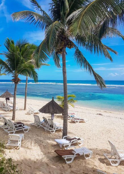 istock Windsurfing at La Caravelle Beach, Guadeloupe 1272843306