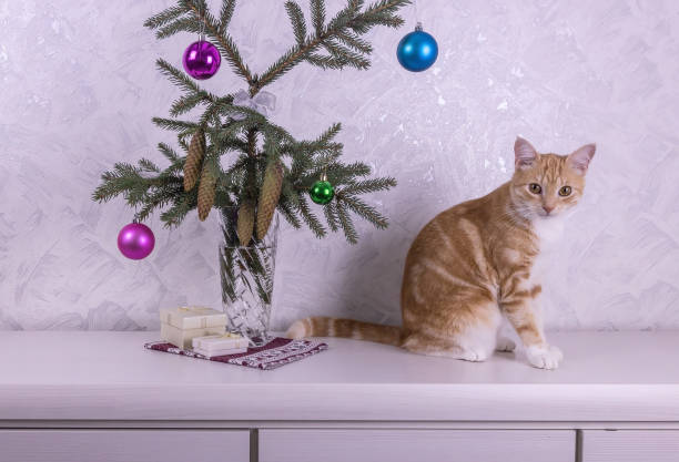 istock Christmas tree branches with cones and balloons, gift boxes are on the table, red cat is sitting next to 1272844231
