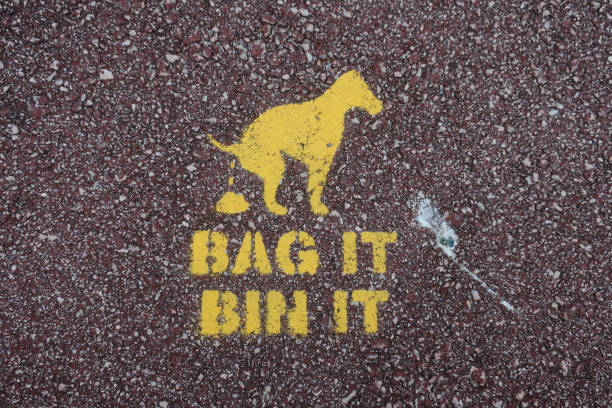 painted on sidewalk