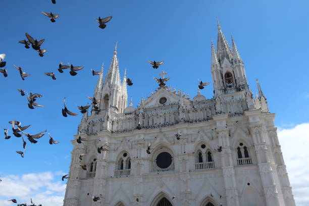white cathedral with flying pigeons before blue sky, Santa Ana, El Salvador pigeon meat photos stock pictures, royalty-free photos & images