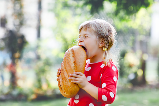 Little toddler girl holding big loaf of bread. Funny happy child biting and eating healthy bread, outdoors. Hungry kid