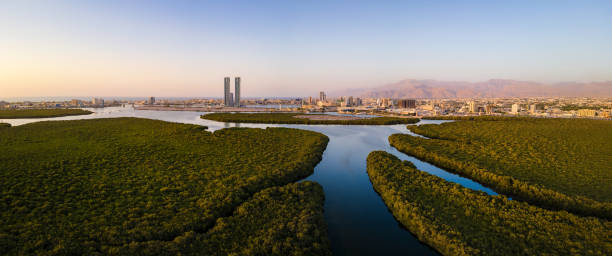 горизонт городского пейзажа эмирата рас-эль-хайма возвышается над мангровыми зарослями и ручьем в объединенных арабских эмиратах на закат - ras al khaimah стоковые фото и изображения