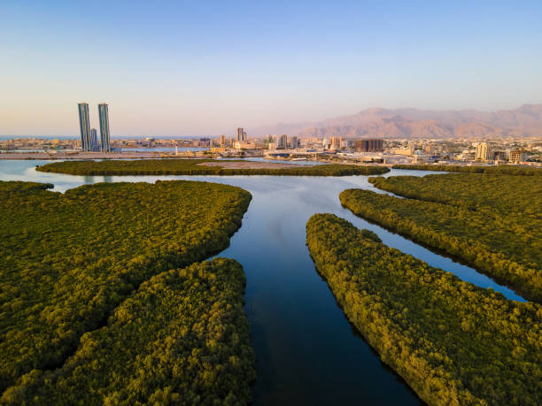 ras al khaimah émirat vue d’horizon du paysage urbain s’élevant au-dessus des mangroves et du ruisseau dans les émirats arabes unis au coucher du soleil - ras al khaimah photos et images de collection
