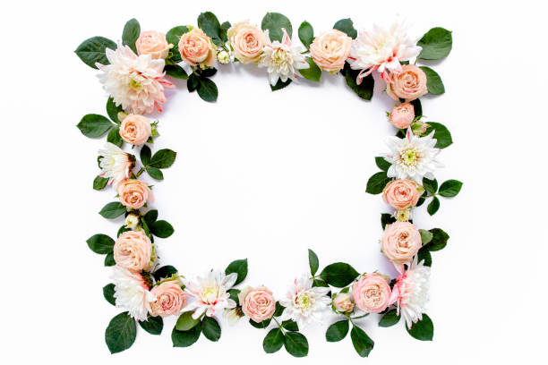 istock frame made of pink roses, green leaves eucalyptus, branches, floral pattern on white background. Flat lay, top view. Valentine's background 1272859368