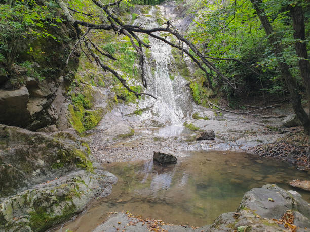 istock Cheile Borzesti gorges waterfall in Transylvania 1272859441