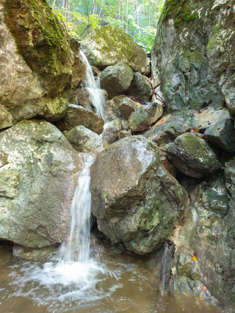 istock Small creek waterfall in Cheile Plaiului, Romania 1272860518