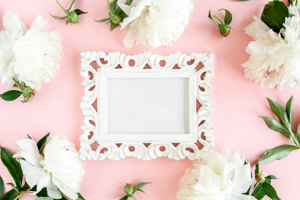 istock Frame of white peony flowers with space for text on pink background. Peony texture. Flat lay, top view 1272860652