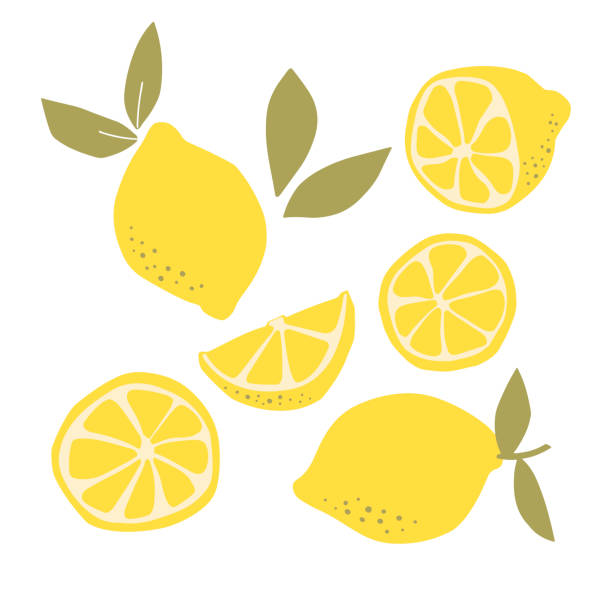 Abstract modern set of lemon fruit icon  isolated on white background. Abstract modern set of lemon fruit icon  isolated on white background. Vector hand drawn flat  illustration.   lemon logo design. citron stock illustrations