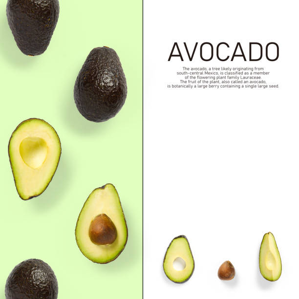 Modern creative avocado collage with simple text on solid color background. Avocado slices creative layout on green background. Flat lay, Food concept