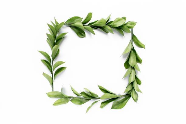 istock frame workspace with green leaves and branches isolated on white background. lay flat, top view 1272866478