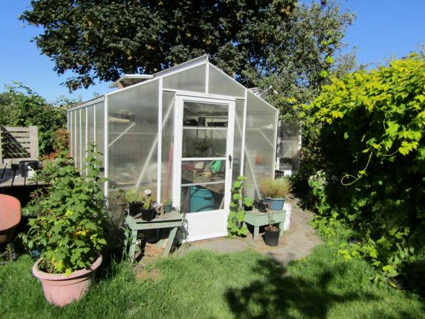 istock Small greenhouse in a garden. 1272866685