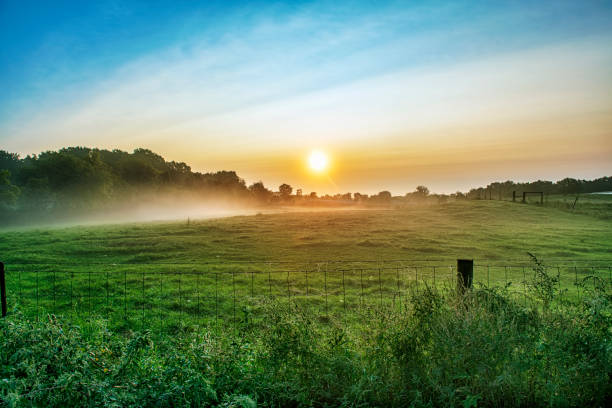 Rural Landscape at Sunrise Rural Landscape at Sunrise midwest usa stock pictures, royalty-free photos & images