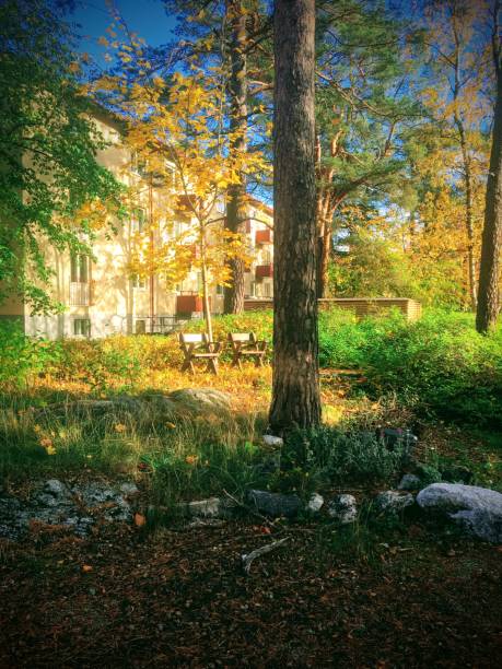 istock Sunshine in clearing on two chairs and yellow maple 1272867670