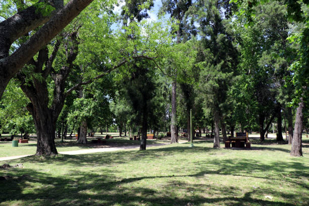 istock San Carlos municipal park partial view 1272867794
