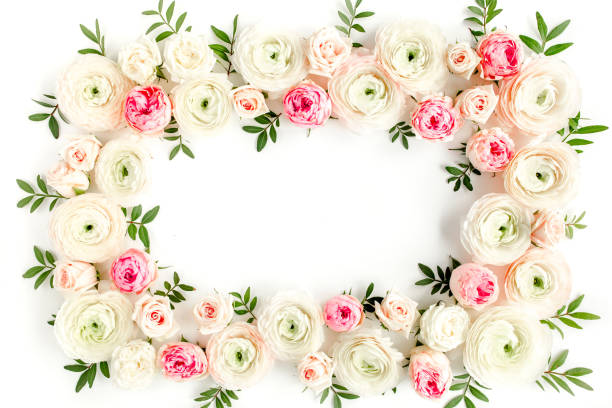 istock Floral pattern frame made of pink ranunculus and roses flower buds on white background. Flat lay, top view floral background 1272869319