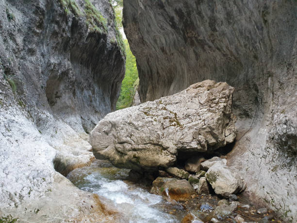 istock Huge limestone boulder in Cheile Rametului river 1272869346