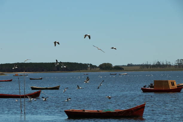 istock Small boats anchored in the lagoon waters 1272869385