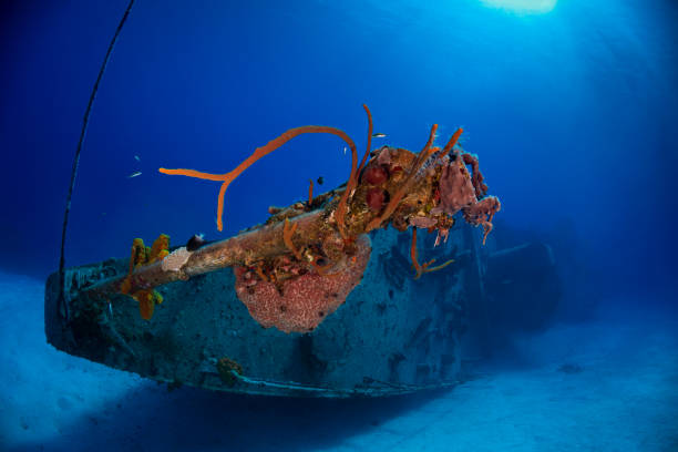 istock MV Captain Keith Tibbetts Shipwreck - Cayman Brac 1272870529