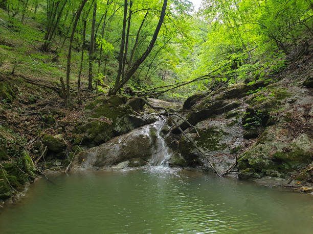 istock Cheile Borzesti waterfall and pond, Transylvania 1272870847