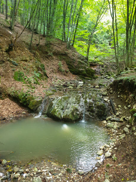 istock Borzesti Gorge gorges waterfall, Cluj, Romania 1272871465