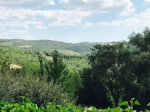 istock Nature, green hilly landscape 1272878184
