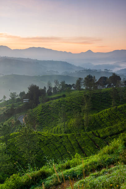 istock Sunrise at Pangalengan Bandung 1272878971
