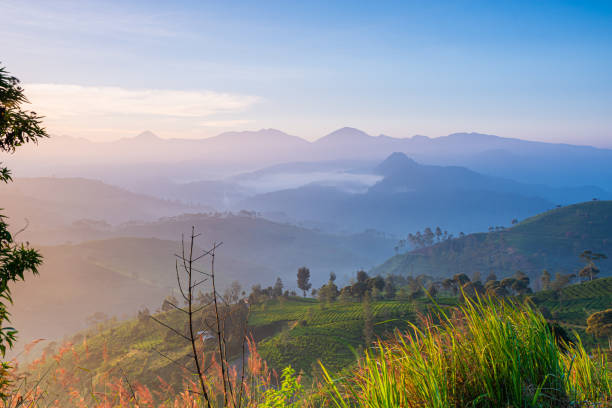 istock Sunrise at Pangalengan Bandung 1272879043