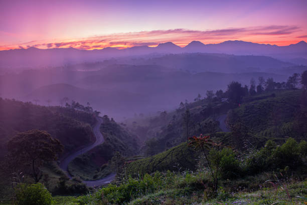 istock Sunrise at Pangalengan Bandung 1272879046