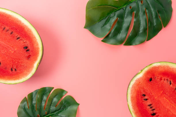 istock Watermelon with palm tree leaf on pink background. Creative minimal summer concept. 1272879097