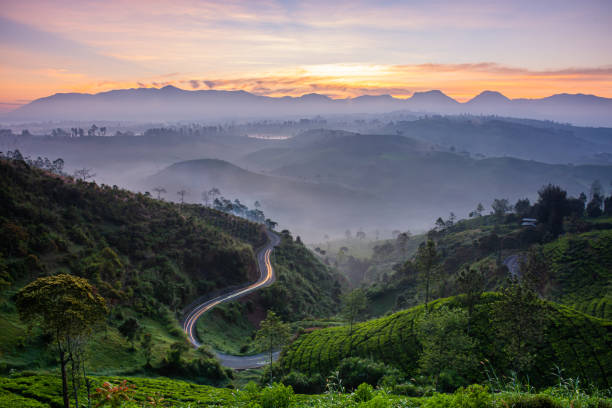 sunrise at pangalengan bandung - bandung foto potret stok, foto, & gambar bebas royalti