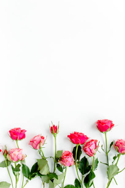 istock Flower border frame made of red roses on white background with copy space for text. Valentine's background. Floral pattern. Flat lay, top view 1272879130
