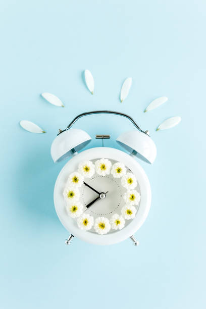 istock Composition-summer time from clock and chamomile flowers on blue background. Flat lay, top view 1272879151