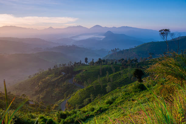 istock Sunrise at Pangalengan Bandung 1272879161