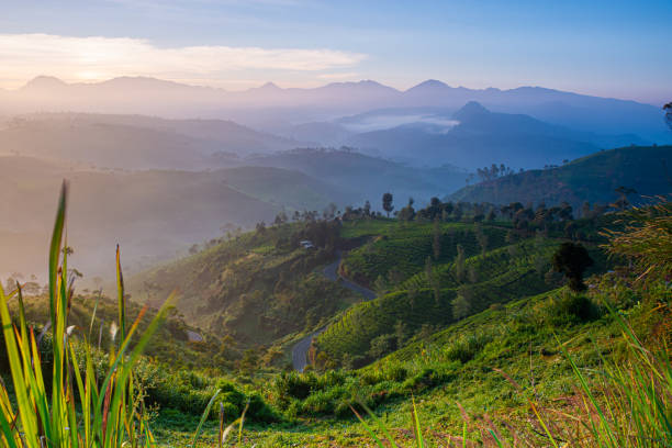 istock Sunrise at Pangalengan Bandung 1272879173