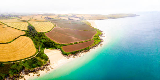 istock Aerial view of Padstow in Cornwall 1272882526
