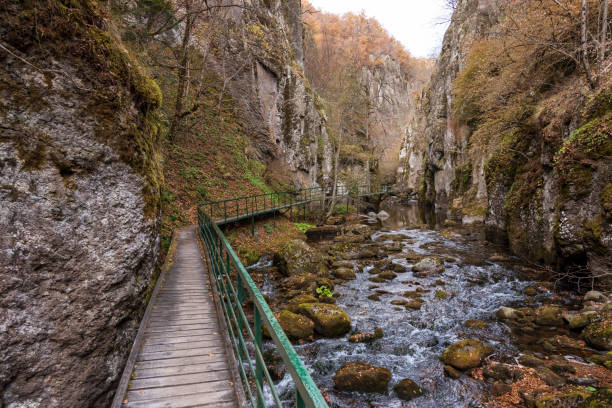 ponte para caminhantes no desfiladeiro do rio devinska na bulgária - mist rock winter autumn - fotografias e filmes do acervo