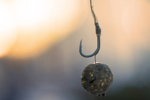 carpa hook boilies - isca de pesca de perto. - variation catch of fish fish prepared fish - fotografias e filmes do acervo