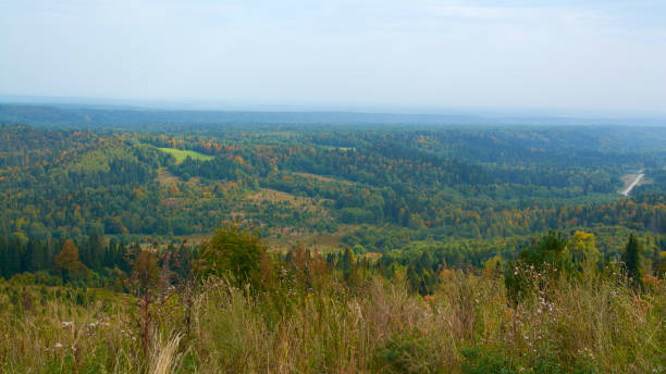istock autumn forest and clouds from a bird's eye view. 1272890021