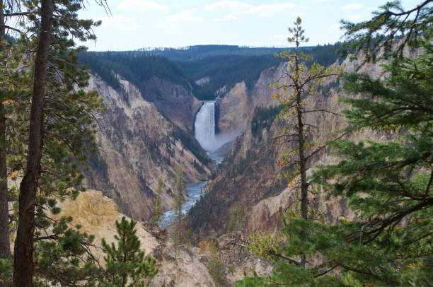 istock Lower Yellowstone Falls, wide 1272893423