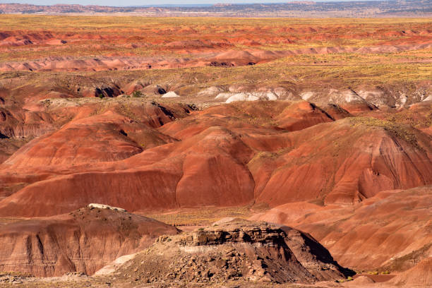 石化森林国立公園アリゾナ州。アメリカ北アメリカ風景 - petrified forest national park ストックフォトと画像