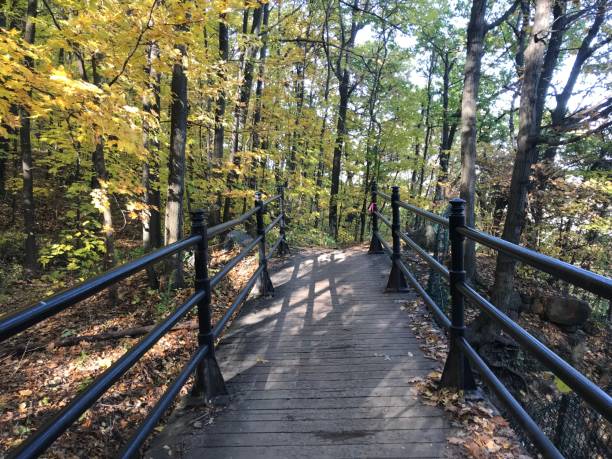 istock Walking down Mont Royal in Montreal 1272899150