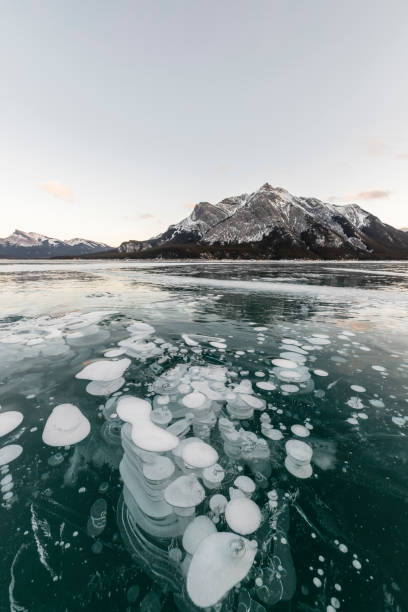 istock Abraham Lake in sunrise in winter 1272900059