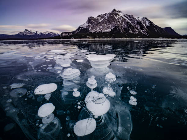istock Abraham Lake in sunrise in winter 1272900101