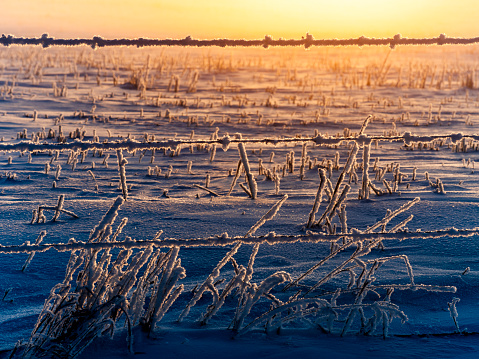 sunrise at prairie in winter, alberta, canada.