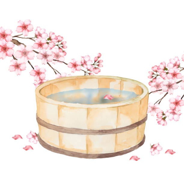 Japanese wash basin with cherry blossoms watercolor flower backgrounds cherry blossom spring stock illustrations