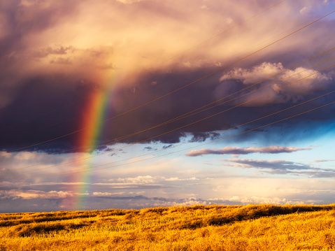 rainbow over wheat field, SK, Canada.