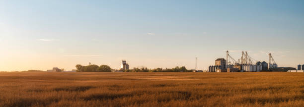 夕日のアバディーンの町 - canada saskatchewan grain elevator prairie ストックフォトと画像